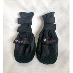 Scarpetta per Levriero