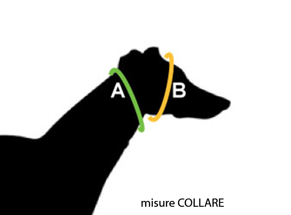 mis-collare_1.jpg